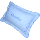 PERSONALIZED BOUDOIR DOT PILLOWS